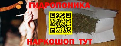 индика Янаул