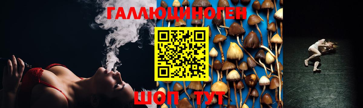 Великий Новгород  Галлюциногенные грибы GOLDEN TEACHER  Вход с VPN 